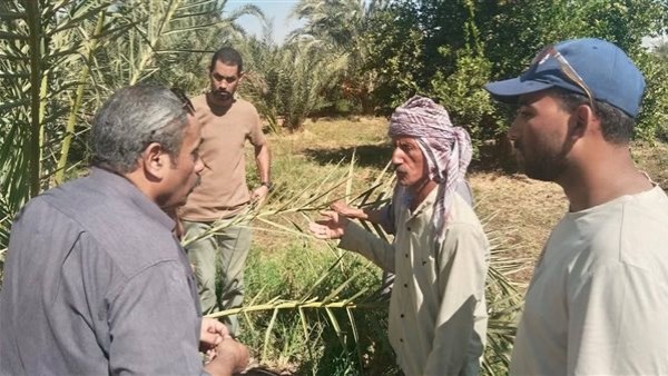 جانب من الحدث