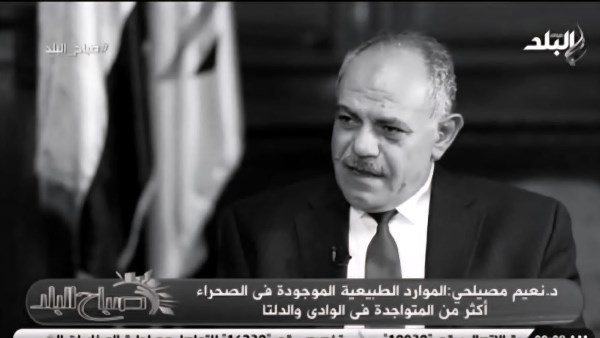 د . نعيم مصلحى