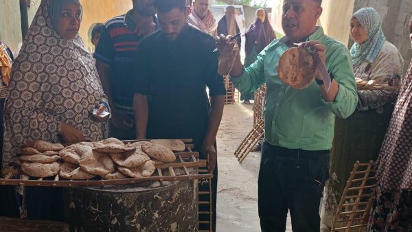 مجهود تموين الاسماعيلية 