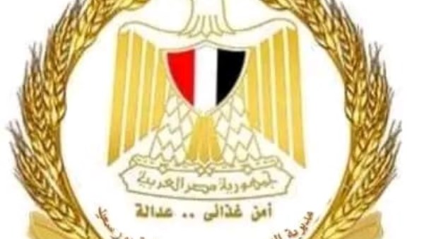 ضبط كميات كبيرة من الأسماك المجمدة الفاسدة داخل ثلاجة بسوق بورسعيد