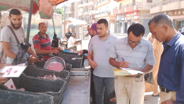 تموين دمياط 