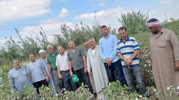 زراعة الشرقية