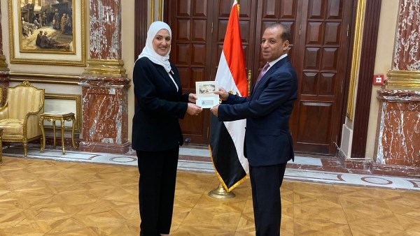 النائبة زينب فهيم عضو مجلس الشيوخ 