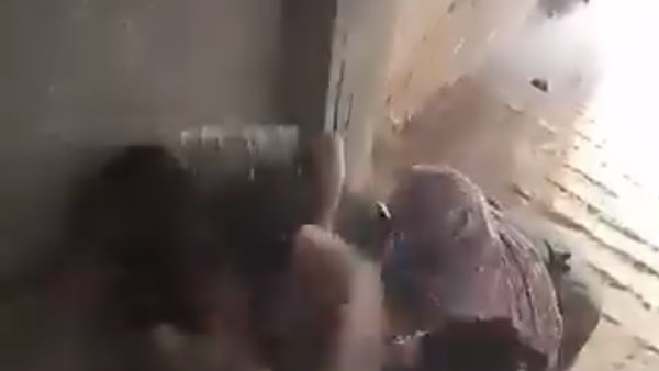 اعتداء اشقاء على شقيقهم بالغربية