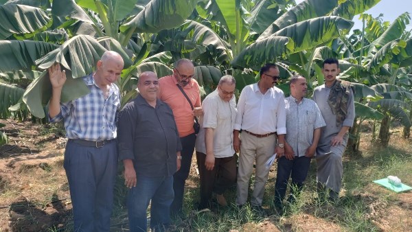 الإدارة المركزية للبساتين 