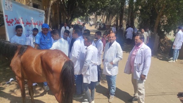 قوافل بيطرية