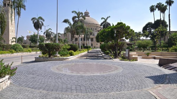 جانب من الفاعليات 