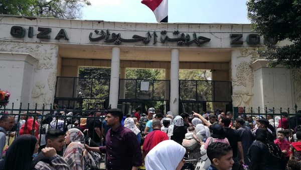 موعد افتتاح حديقة الحيوان 