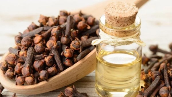 فوائد القرنفل