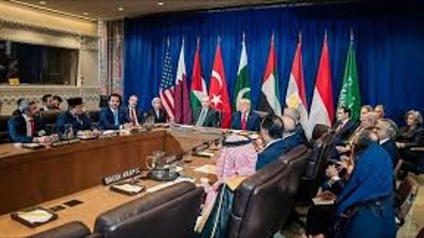 جانب من القمة 