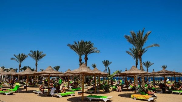 صورة موضوعية