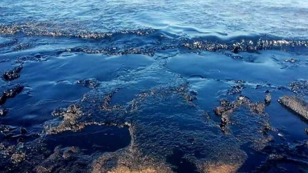 صورة موضوعية