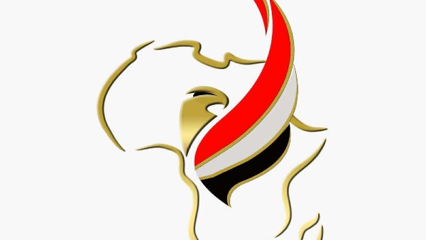 الطائرة