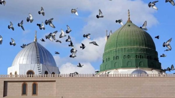 القبة الخضراء 