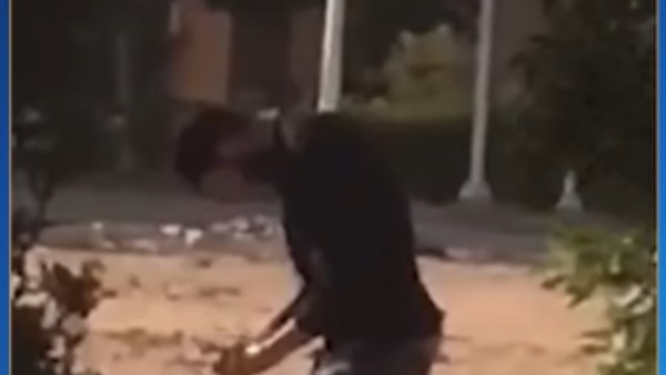 لقطة من الفيديو