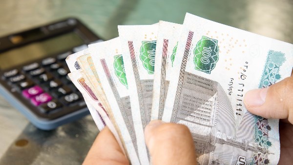 شهادات بعائد 100٪