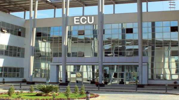 الجامعة المصرية الصينية