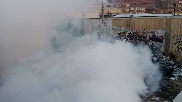 محافظ الإسكندرية يوجه بتكثيف حملات مكافحة الحشرات وتحقيق بيئة صحية نظيفة
