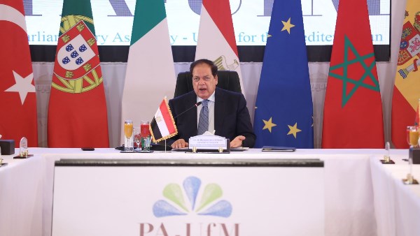 النائب محمد أبو العينين 