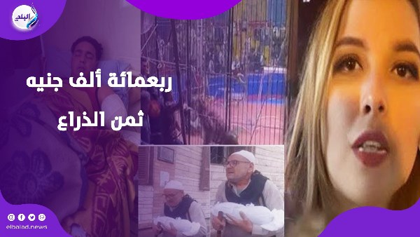 ازمه سيرك طنطا
