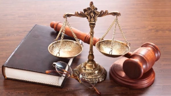 بعد حادثة الاعتداء على كلب بالمعادي.. نص القانون في تلك الجرائم