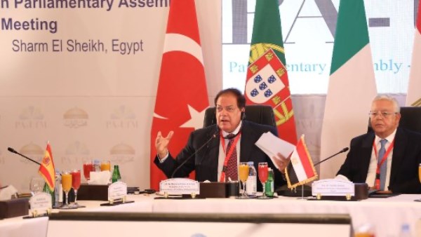 محمد ابو العينين 
