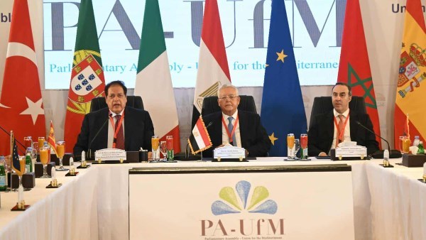 النائب محمد أبو العينين وكيل مجلس النواب 