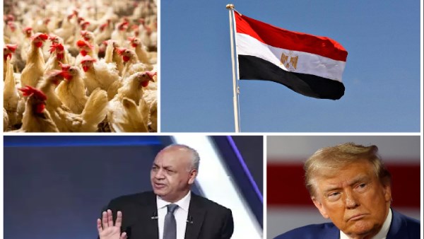 اخبار التوك شو