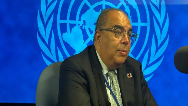 محمود محيي الدين 