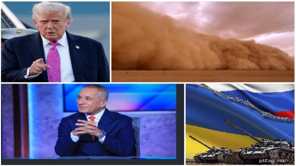 اخبار التوك شو