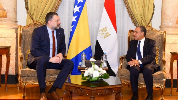 وزيرا خارجية مصر والبوسنة