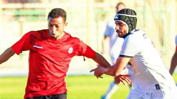 دورى المحترفين