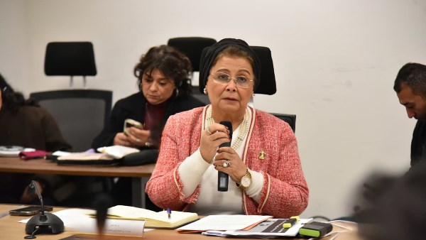 الدكتورة عبلة الالفي 