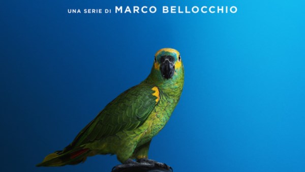 مسلسل PORTOBELLO