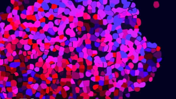 مهرجان برلين السينمائي