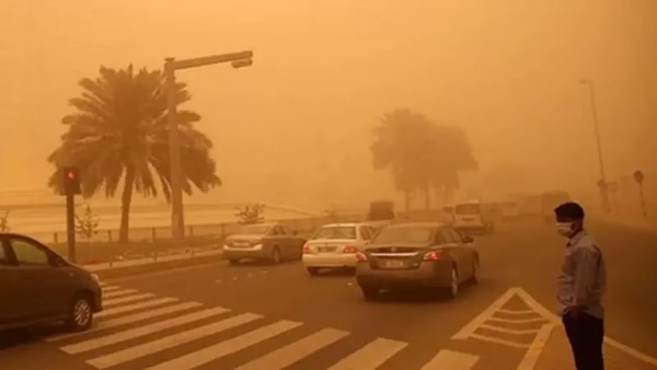 النصائح والإرشادات لقيادة السيارات