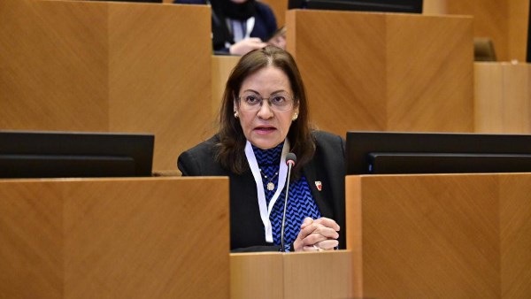 ابتسام الدلال عضو البرلمان العربي 