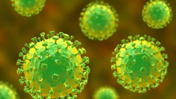 فيروس نيباه