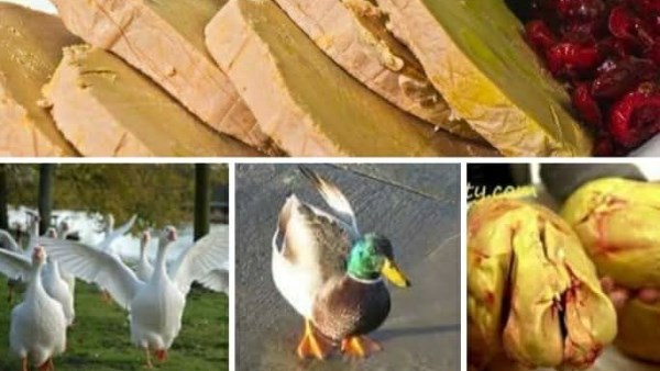 أسرار أسرار