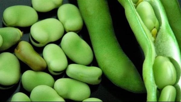 الفول الحيراتي 