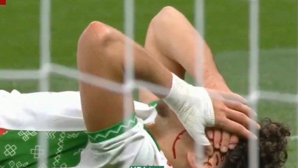 نائل العيناوي