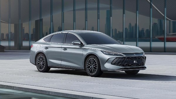 بي واي دي QIN L 