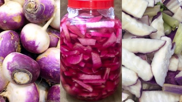 .طريقة تخليل اللفت مثل المحلات