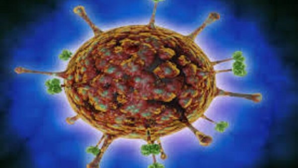 فيروس نبياه.. كيف يتم تشخصيه و الاعراض و الاسباب