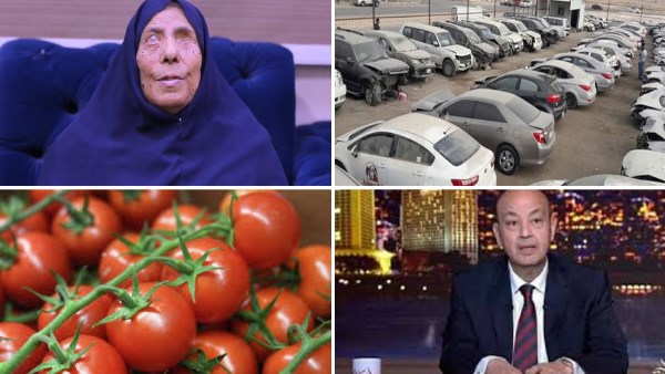 أخبار التوك شو