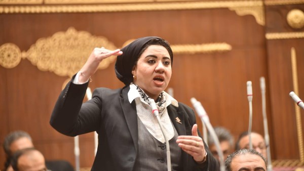 النائبة أميرة صابر: الضريبة العقارية لن تحقق غايتها إذا تحولت إلى أداة تحصيل مالي النائبة أميرة صابر: الضريبة العقارية لن تحقق غايتها إذا تحولت إلى أداة تحصيل مالي
