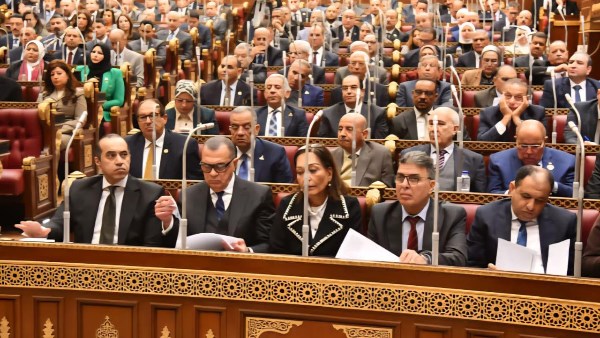 مجلس الشيوخ