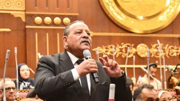  النائب أحمد شعبان