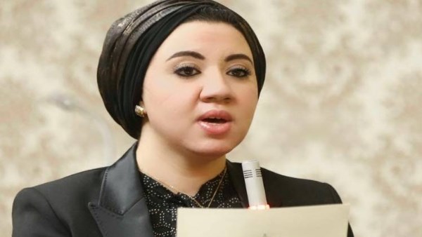 النائبة أميرة صابر  