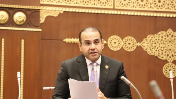 المهندس محمد المنزلاوى عضو مجلس الشيوخ